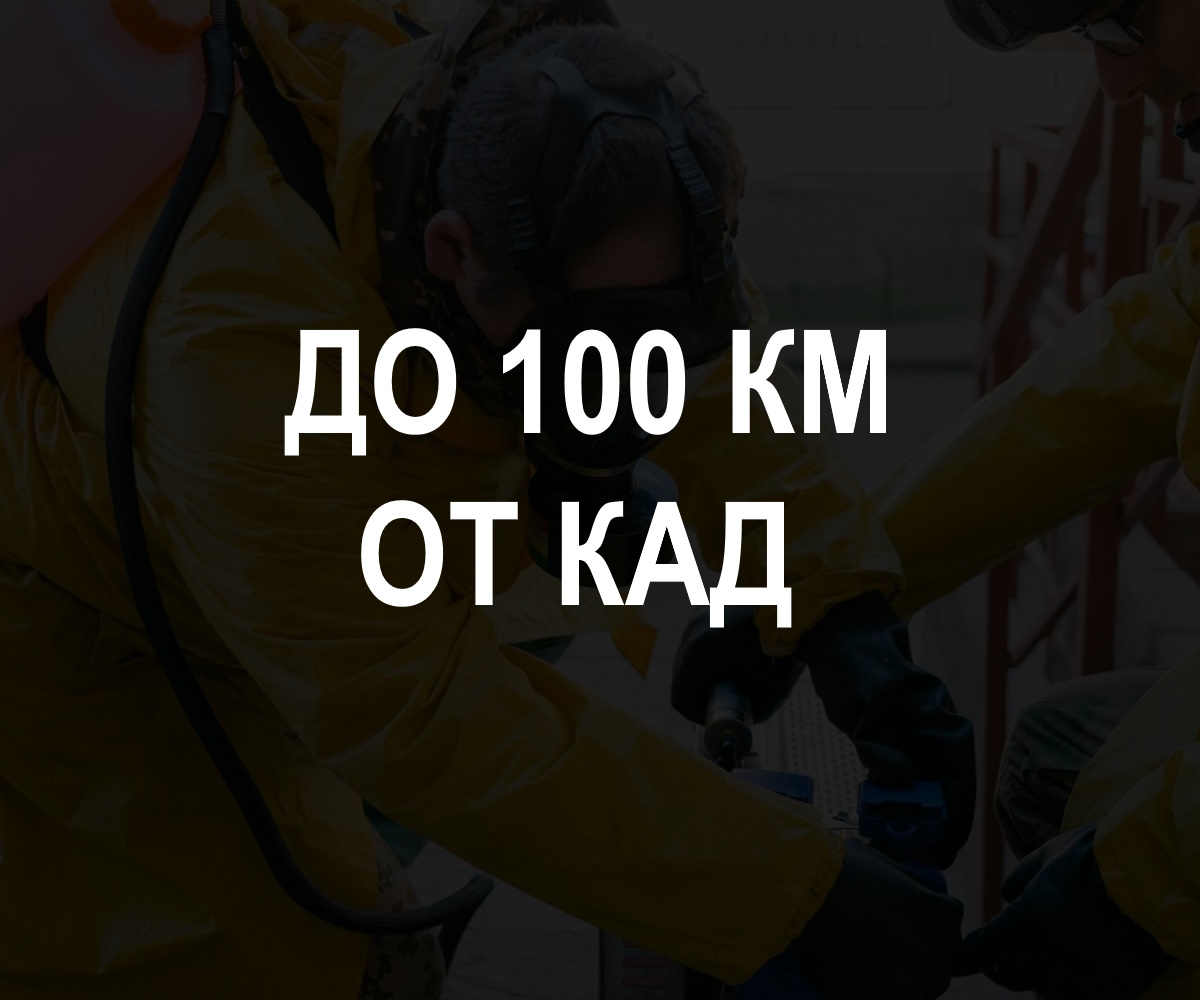 До 100 км. от КАД 